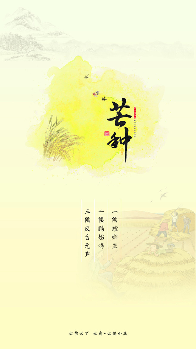 芒种