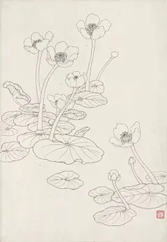 花草 - 高清图片，堆糖，美图壁纸兴趣社区