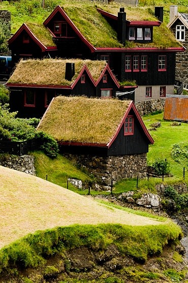 法罗群岛，丹麦..  草屋顶！