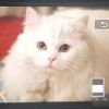 用户BknWWb9o