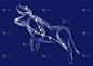 星座sign-taurus