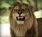 Photograph Smiley  by Adrian Tavano on 500px