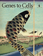 日本Genes to Cells 杂志封面设计欣赏 ​​​​