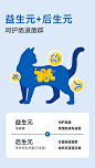 宽福猫罐头主食罐补充营养增肥发腮成幼猫湿粮条猫咪零食罐头整箱-tmall.com天猫