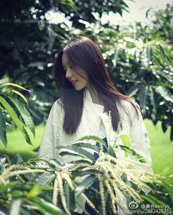 綦美合