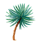 水彩仙人掌插画 png元素免扣 cactus06