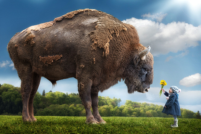 John Wilhelm is a ph...