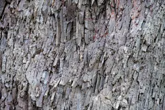 岩石,暗色,砖,复古风格,肮脏的,韩国,建筑,白色,远古的,自然