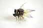 Imaginative Insects Formed From Resin and Brass by Hiroshi Shinno : Japanese artist Hiroshi Shinno builds hyperrealistic sculptures of insects that don't exist, perfect forms of imaginative species that look as if they were built from vibrant leaves and d