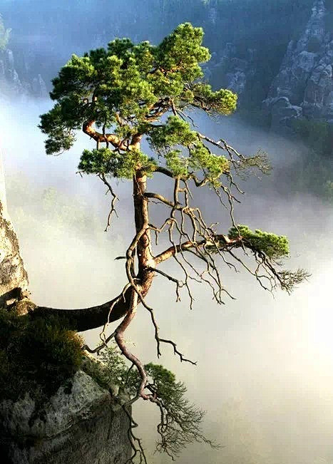 养深积厚，
等待时间