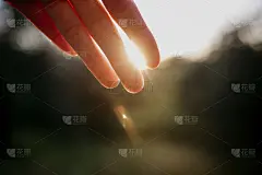阳光的手_5225393158