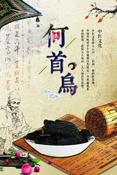 中国风简约何首乌中医文化中药海报