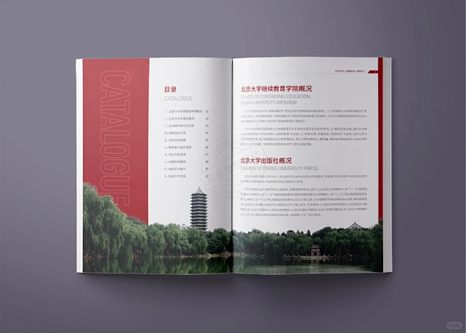 画册设计x红色教育画册企业画册