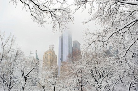 纽约市中央公园雪景。