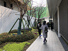 baimilier采集到10 正商·丰华上镜