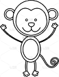 猴子,单色调,雄性动物,轮廓线画,可爱的,自然,华丽的,动物园,热带雨林