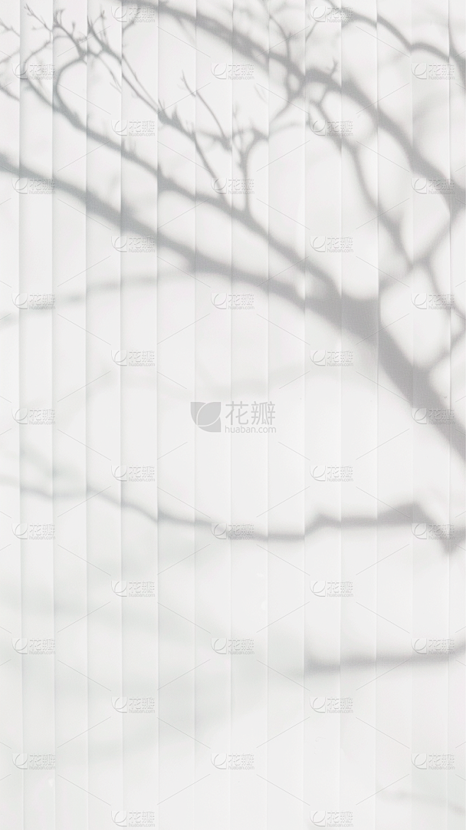 背景通用光影特效植物黑白背景图片素材