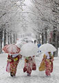 Snow in Tokyo...