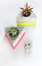 MY DIY | Triangle Cement Airplant Holder: 