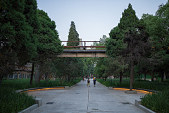 专业甲方采集到城市更新