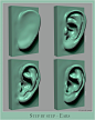 sbs_ears_006.jpg