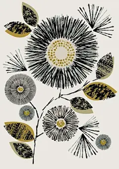 Eloise Renouf抽象图案插画_创意如此简单_新浪轻博客_Qing