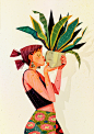 虎尾兰 Sansevieria Appreciation
by Carlotta Notaro