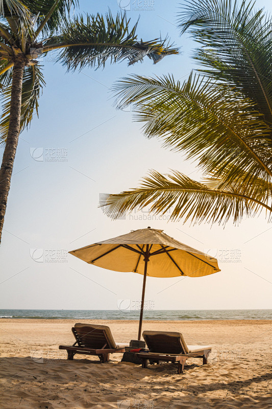 棕榈树,海滩,在下面,躺椅,避暑圣地,海...