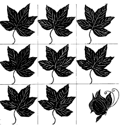 皮三岁是霜霜的女仆采集到形状特异