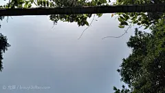 巟宴