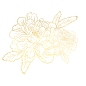 bc0bec47cebbc6fd4846815fd4b9b9be