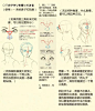 【新手教程】第9期：鼻子篇，如何轻松画好你的嗅觉器官？