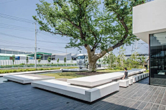 黄兰pV6k采集到商务区