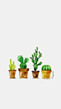 Cactus faze!! super cute. #cactusfun #adorable #style #art