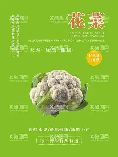 花菜海报  - 源文件下载【酷图网】花菜,菜花,椰菜花,花菜图片,菜花图片,椰菜花图片,绿色蔬菜,健康果蔬,美味饮食,菜花海报,菜花展板,菜花模板,菜花展架,菜花易拉宝,舌尖上的菜花,白色菜花,白色花菜,白色椰菜花,茶花海报