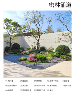 markchao采集到绿化