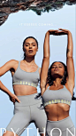Muscle Republic Python Collection