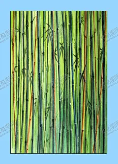 手绘竹子 【酷图网】手绘,手绘竹子,小清新,绿色竹子,竹子插画,插画,花边,竹子花边