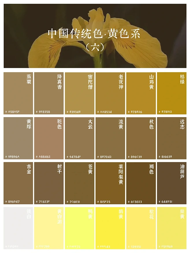 中国传统色｜168个黄色系