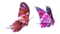 1 (12)