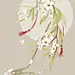 古风 无人 花