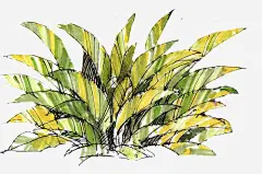手绘园林植物展板高清素材 园林 展板 植物 免抠png 设计图片 免费下载