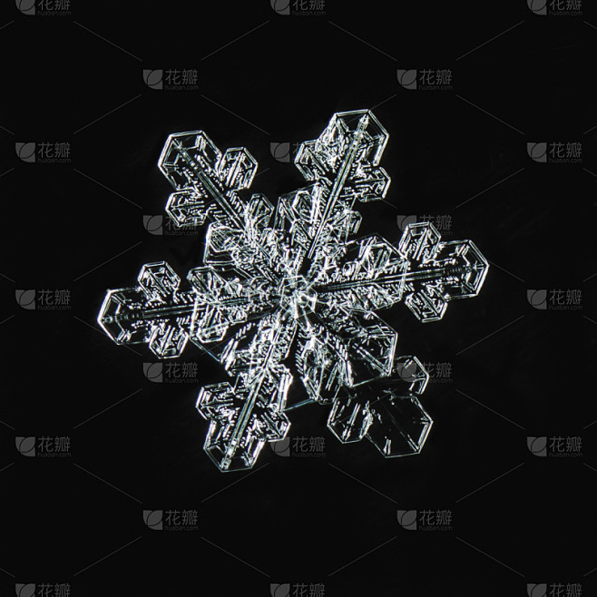 雪花,美,雪,巨大的,尖利,特写,冰晶,白色,星形,冬天