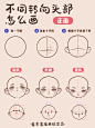 插画教程｜一个橘子搞定9个头部转向 - 小红书