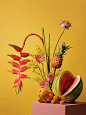 Feast : "Feast" – series of images for CosmosPlantea Floral Designer