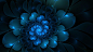 Flower, Blue, Wallpaper, Life, Bigest, Images : Flower, Blue, Wallpaper, Life, Bigest, Images 2014448