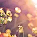 illushb1663