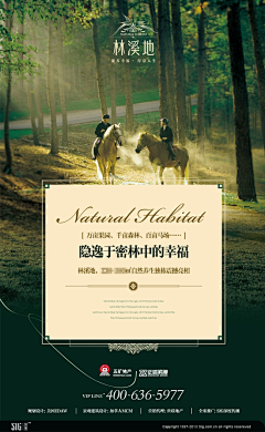 绿萝之恋采集到入口图，banner，意境