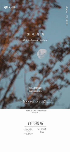 大丑驴采集到缦云系