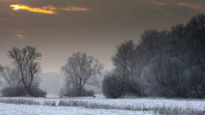 Winter landscape...